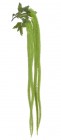 Искусственное растение 108 см. D9-0394_03 купить в Минске – цена оптом и в розницу, характеристики | floradecor.by - фото