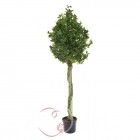 Искусственное дерево Фикус 180 см. T015 купить в Минске – цена оптом и в розницу, характеристики | floradecor.by - фото