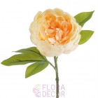Искусственный цветок Пион 11CAN16023 Кремовый купить в Минске – цена оптом и в розницу, характеристики | floradecor.by - фото