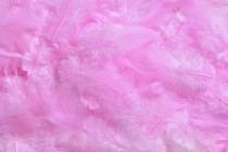 Перья 7-12 см HM0003_002 Розовый купить в Минске – цена оптом и в розницу, характеристики | floradecor.by - фото