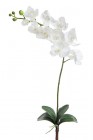 Искусственный цветок Орхидея 94 см 120CAN63735_H351 Белый купить в Минске – цена оптом и в розницу, характеристики | floradecor.by - фото