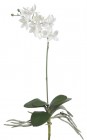 Орхидея искусственная 35 см 81CAN15422_06 Белый купить в Минске – цена оптом и в розницу, характеристики | floradecor.by - фото