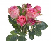 CANEA Искусственный букет из роз 27 см 78CAN6816_07 купить в Минске – цена оптом и в розницу, характеристики | floradecor.by - фото