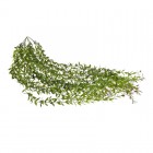 CANEA Ампельное растение 100 см 108CANTT006_03 купить в Минске – цена оптом и в розницу, характеристики | floradecor.by - фото