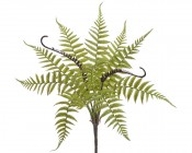 CANEA Искусственная зелень Папоротник 41 см 87CAN880_14 купить в Минске – цена оптом и в розницу, характеристики | floradecor.by - фото