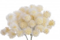 CANEA Искусственная зелень 31 см 254CAN232447_01 купить в Минске – цена оптом и в розницу, характеристики | floradecor.by - фото