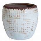 BELLDECO Горшок для цветов 15 см CA36471LB43B купить в Минске – цена оптом и в розницу, характеристики | floradecor.by - фото