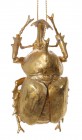 SHISHI Елочная игрушка Жук 10 см 50673 купить в Минске – цена оптом и в розницу, характеристики | floradecor.by - фото