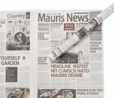 Упаковочная бумага Газета 50 см/70 см, упак. 10 л. 4630270/095398 купить в Минске – цена оптом и в розницу, характеристики | floradecor.by - фото