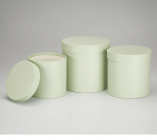 Набор коробок с крышкой 3 шт. Фисташковый 4630270/021212 купить в Минске – цена оптом и в розницу, характеристики | floradecor.by - фото