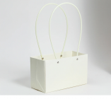 Сумка для цветов Мастхэв прямоугольный, 22х10х13 см упак.10 шт купить в Минске – цена оптом и в розницу, характеристики | floradecor.by - фото