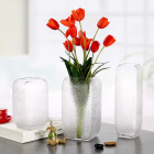 Ваза стеклянная D14 * H25 см, 1 шт., прозрачный  4630270/075932 купить в Минске – цена оптом и в розницу, характеристики | floradecor.by - фото