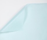 Бумага тишью 20 листов. XLZ купить в Минске – цена оптом и в розницу, характеристики | floradecor.by - фото