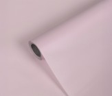 Пленка матовая полупрозрачная 60 см/10 м купить в Минске – цена оптом и в розницу, характеристики | floradecor.by - фото